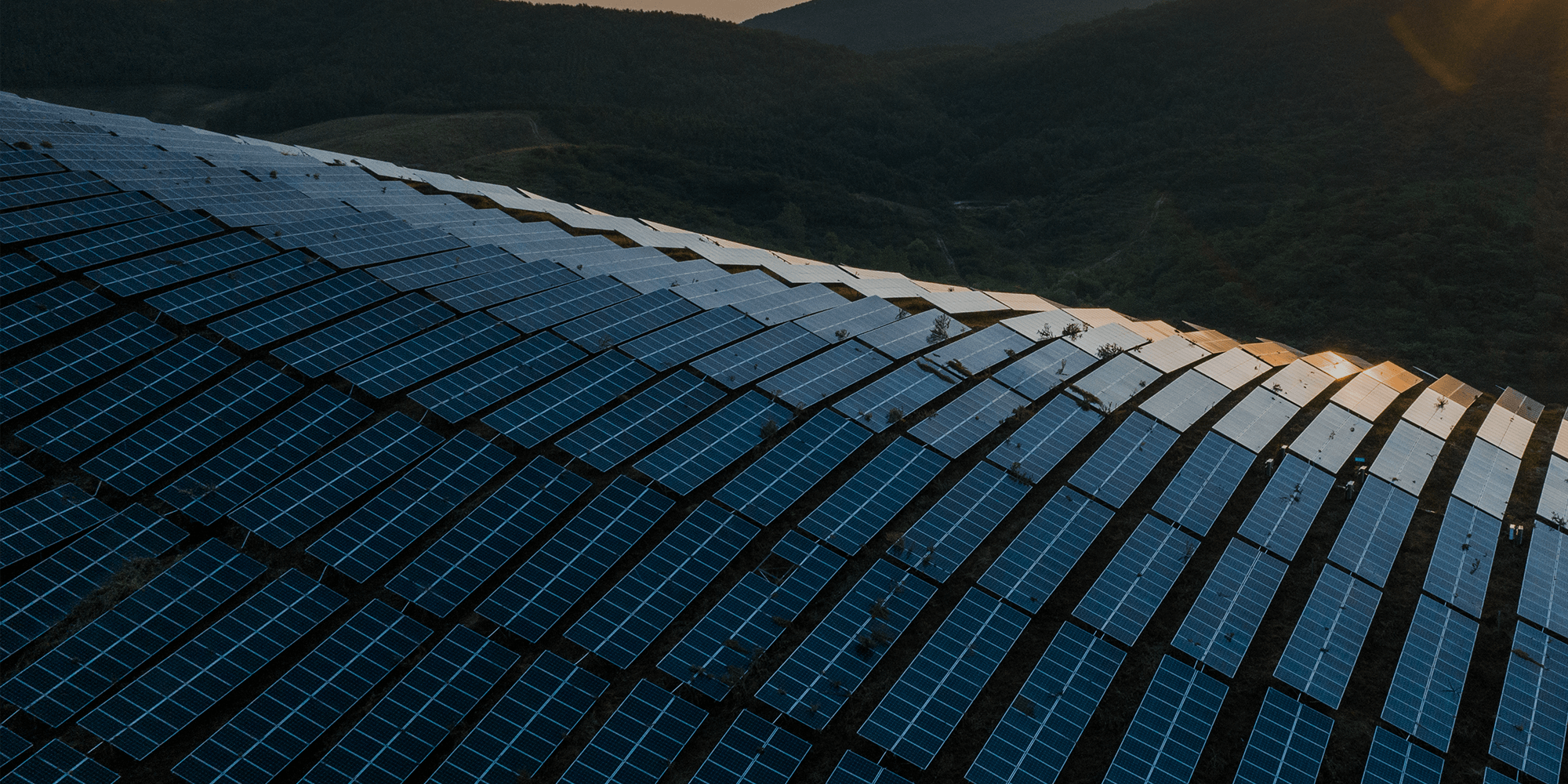 太陽光発電のプロフェッショナル 資格取得支援でさらなる成長を目指せる